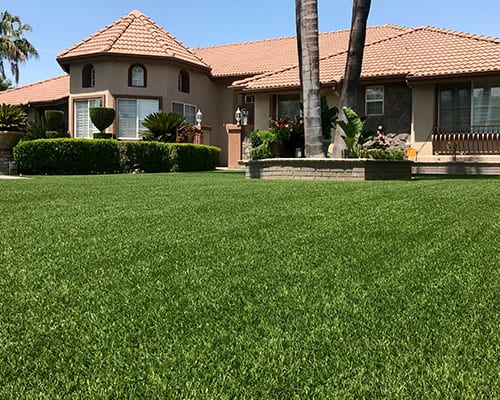 artificial lawn