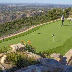 Backyard Putting Green