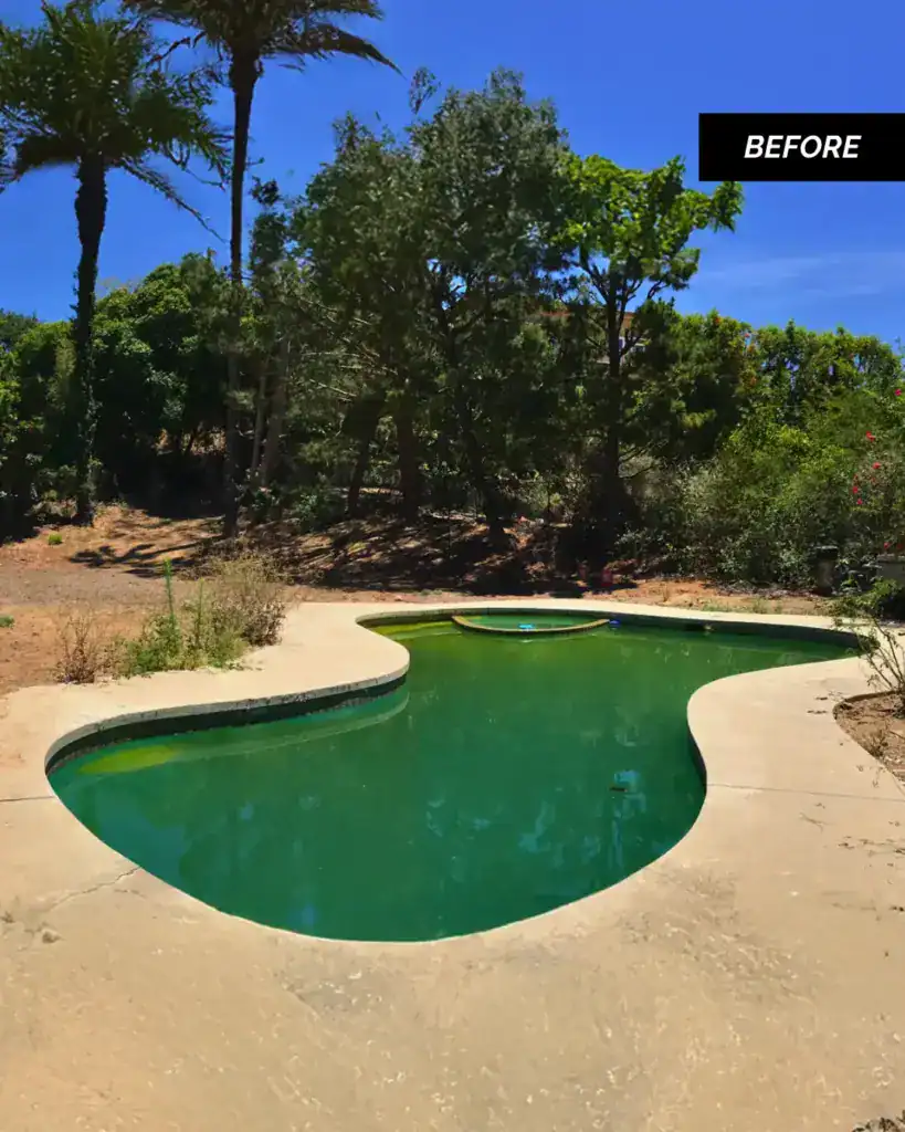A before" photo of a backyard swimming pool